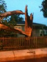 Assessing Your Southwest Louisiana Home After a Storm