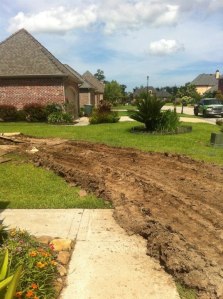 front yard